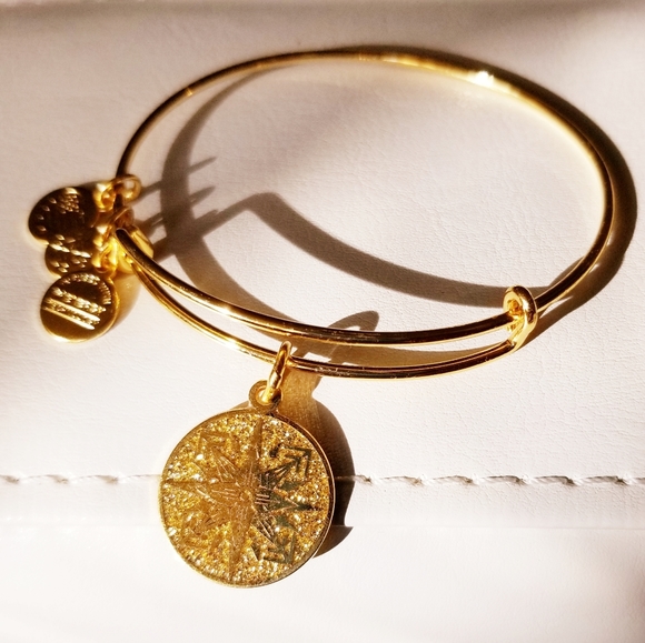 Alex and Ani, Healing Love, Sparkling, Charm Bracelet - Picture 1 of 7